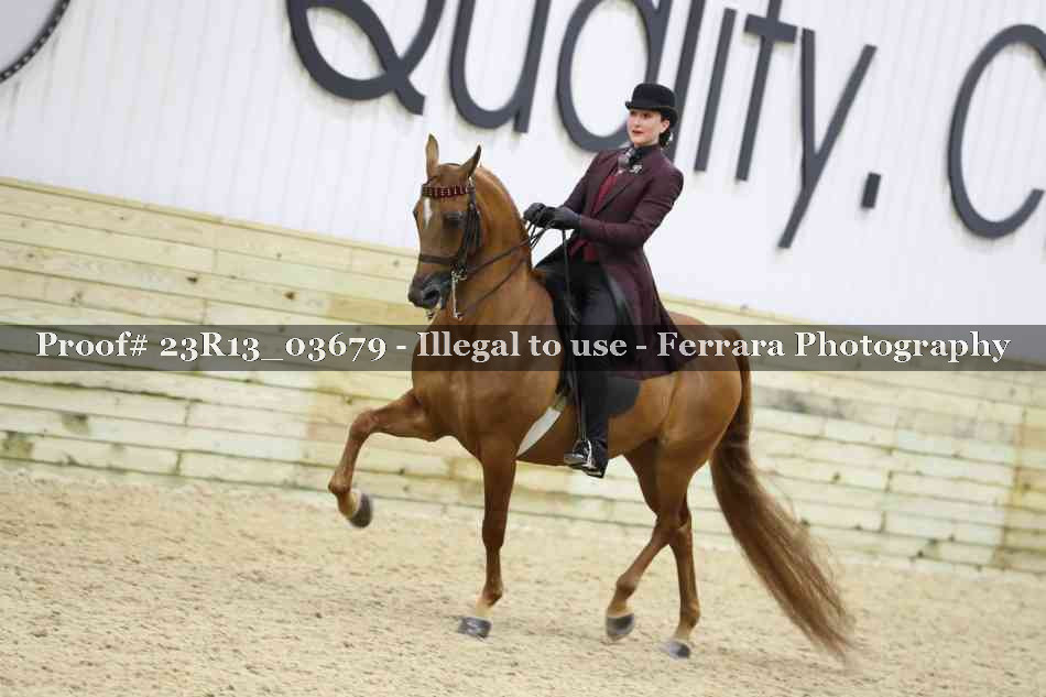 Proof 23R13_03679