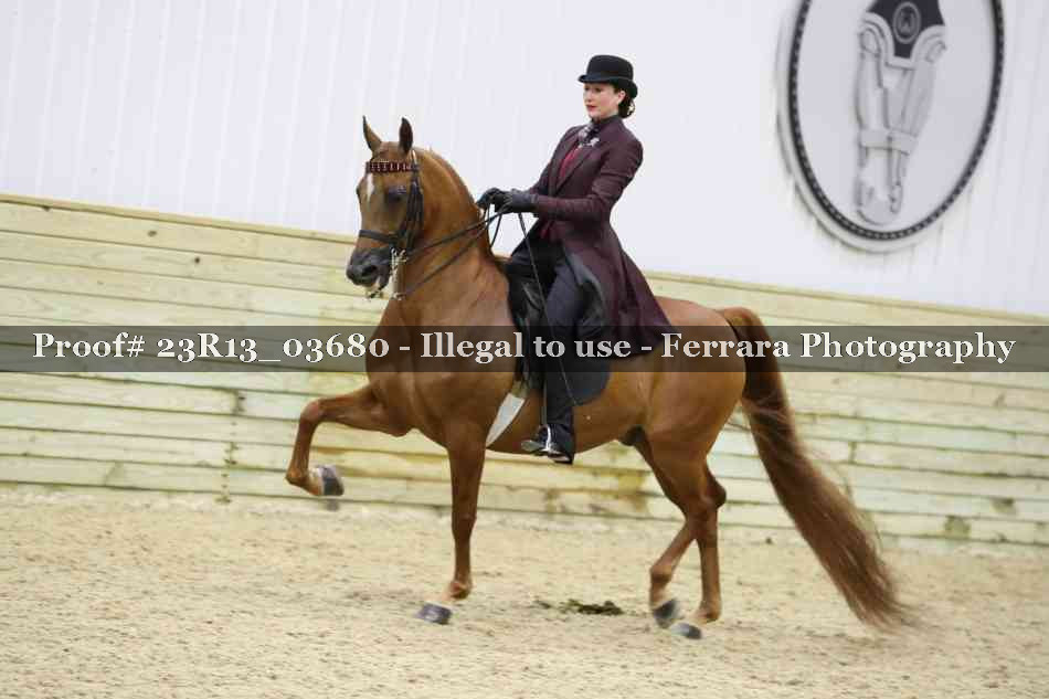 Proof 23R13_03680