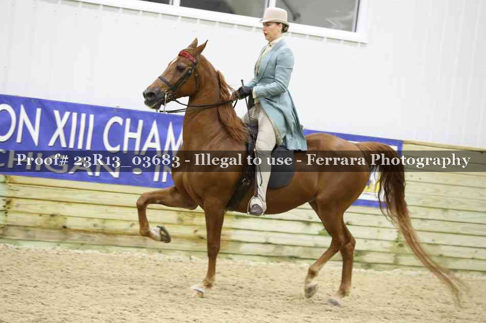Proof 23R13_03683