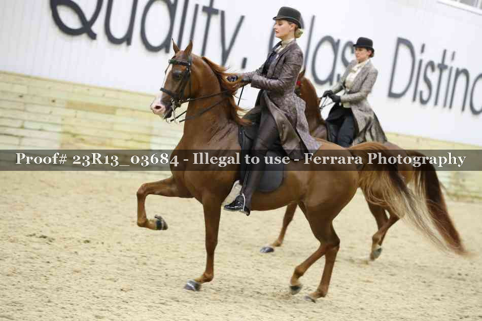 Proof 23R13_03684