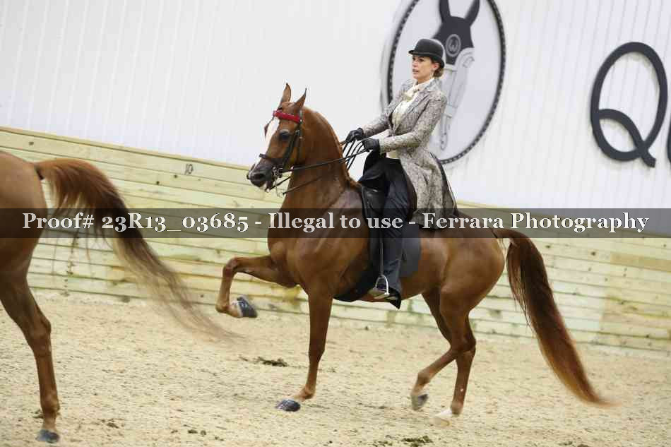 Proof 23R13_03685