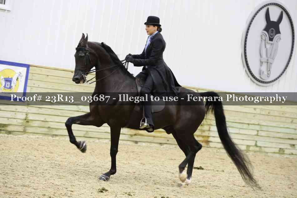 Proof 23R13_03687