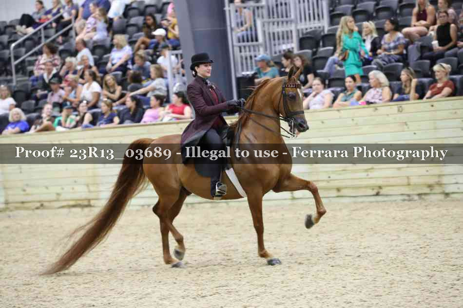 Proof 23R13_03689