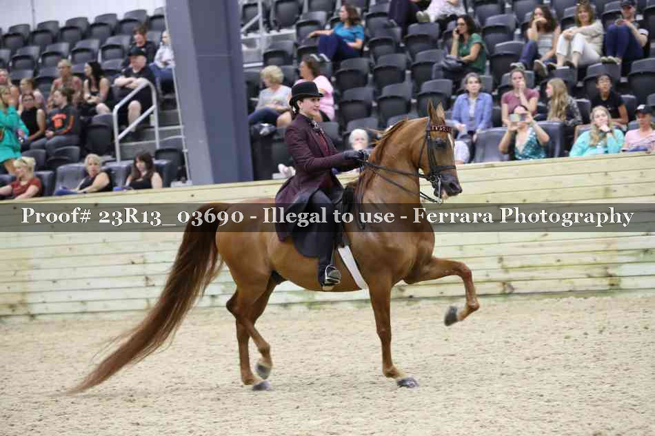 Proof 23R13_03690