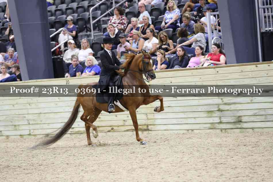 Proof 23R13_03691