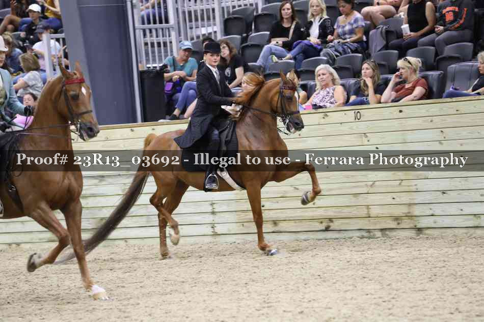 Proof 23R13_03692