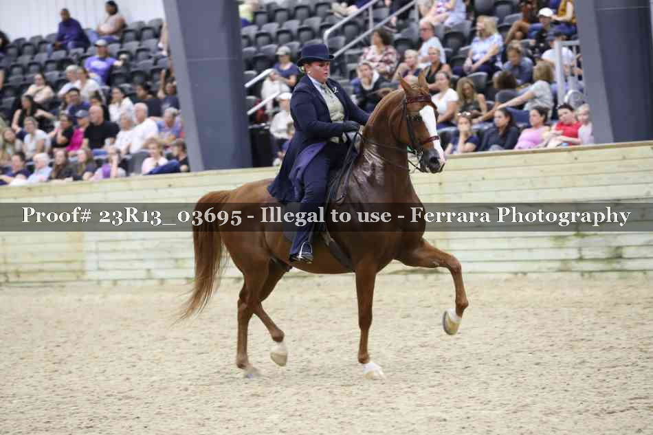 Proof 23R13_03695