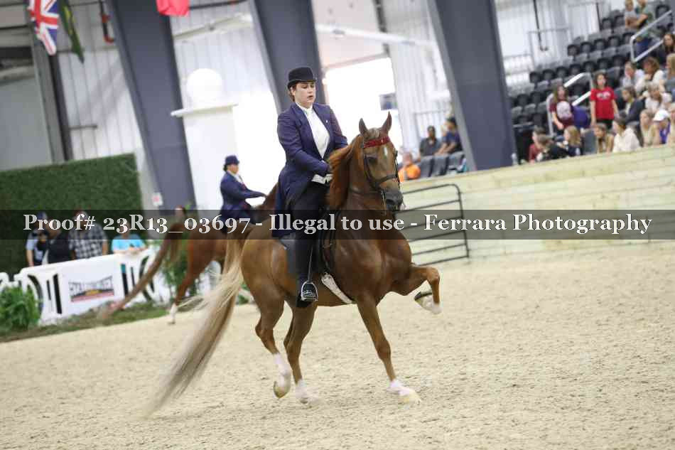 Proof 23R13_03697