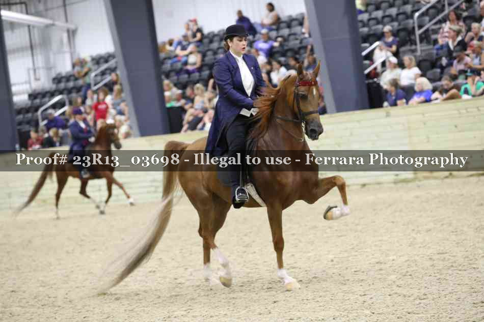 Proof 23R13_03698
