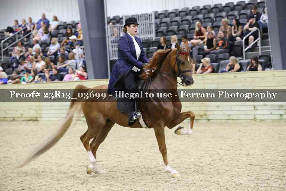 Proof 23R13_03699