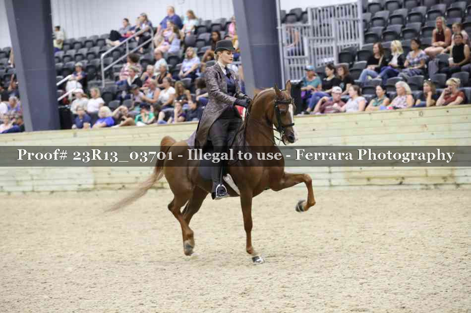 Proof 23R13_03701