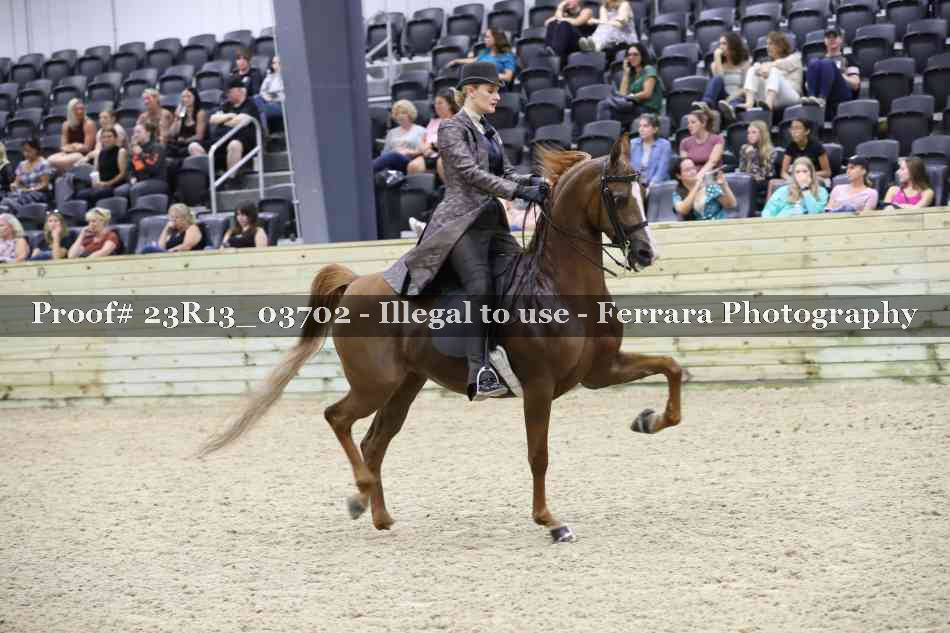Proof 23R13_03702