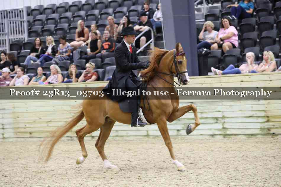 Proof 23R13_03703