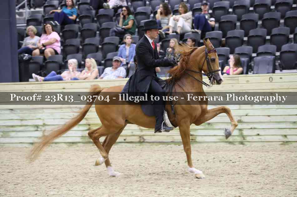Proof 23R13_03704