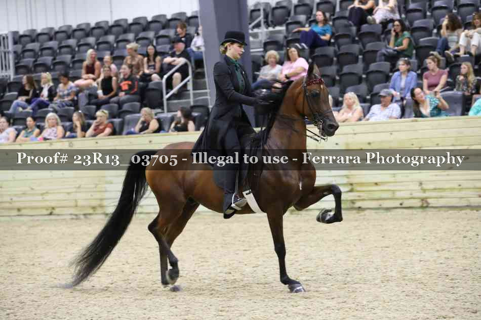 Proof 23R13_03705