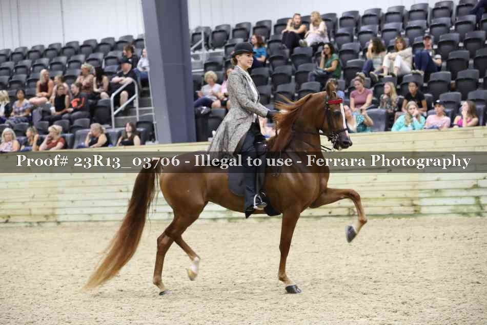 Proof 23R13_03706