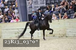 23R13_03707 proof