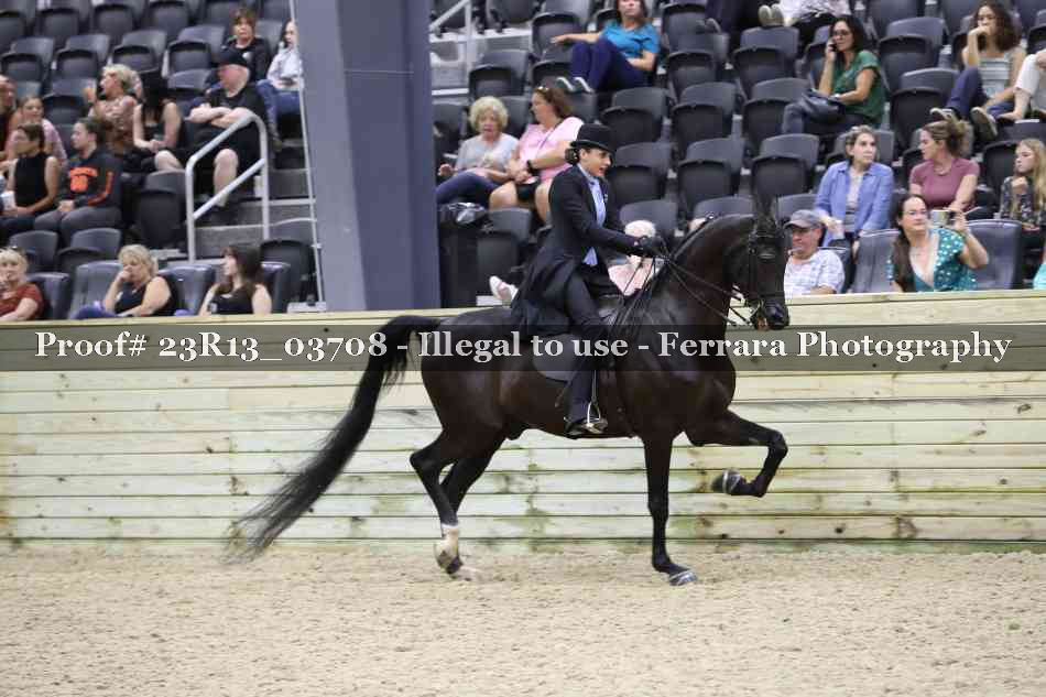 Proof 23R13_03708
