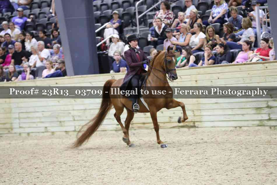 Proof 23R13_03709