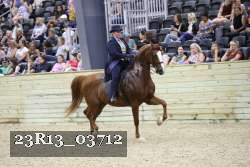 23R13_03712 proof