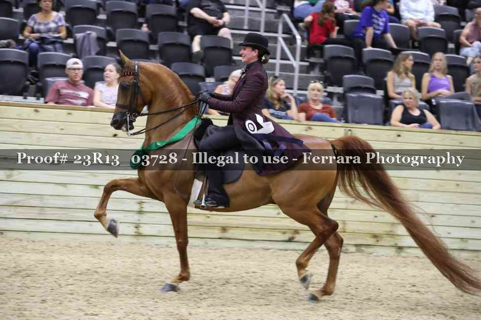 Proof 23R13_03728