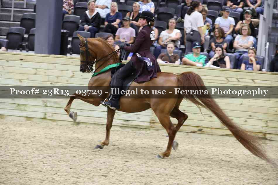 Proof 23R13_03729
