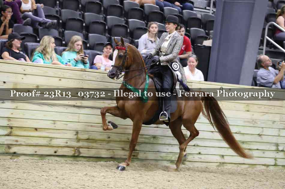 Proof 23R13_03732