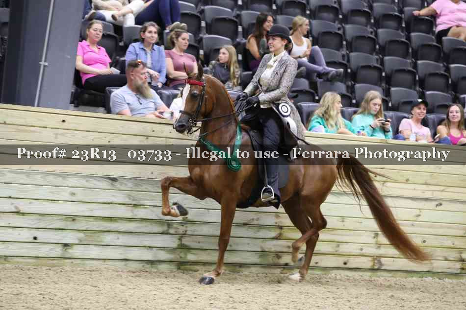 Proof 23R13_03733