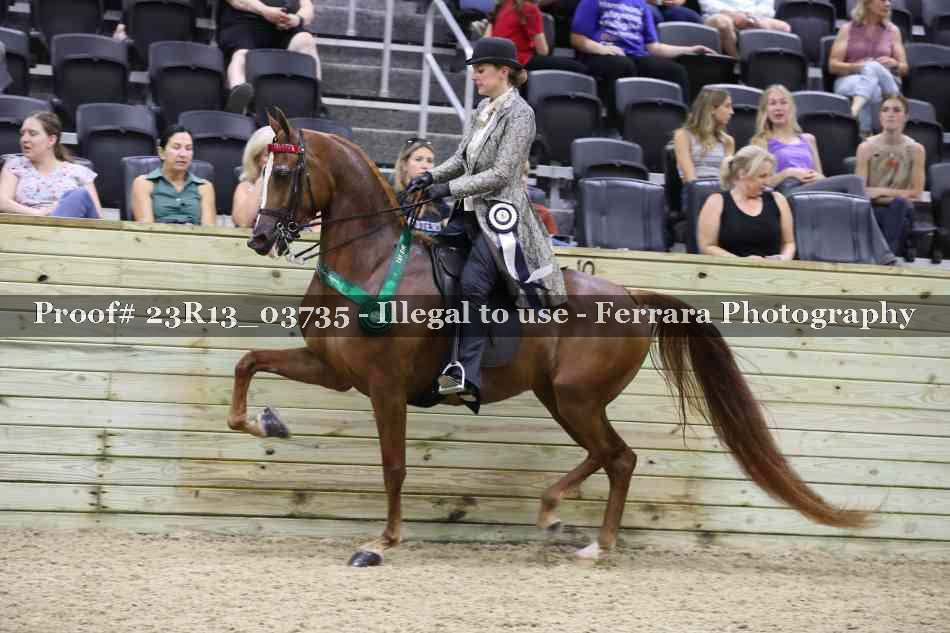 Proof 23R13_03735