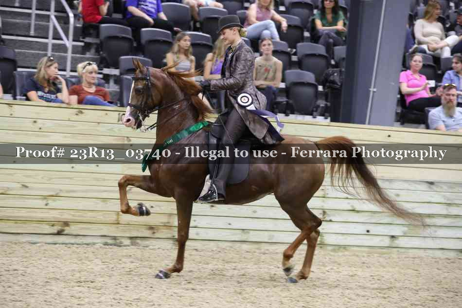 Proof 23R13_03740