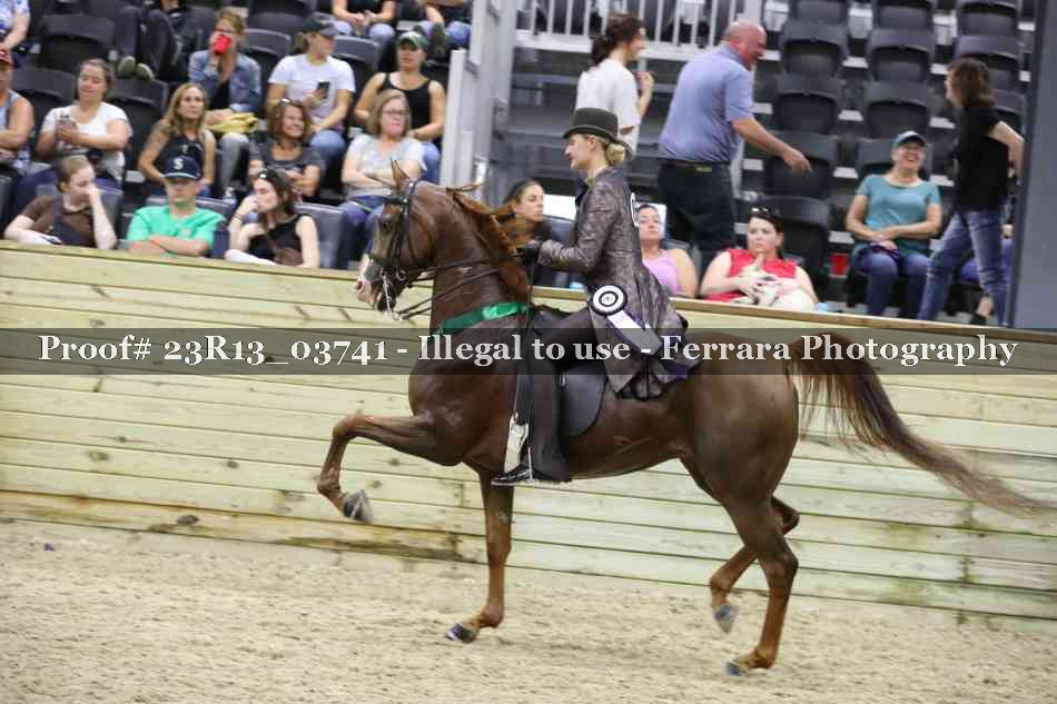 Proof 23R13_03741