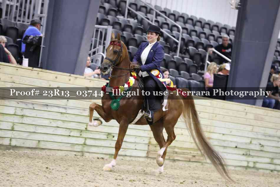 Proof 23R13_03744