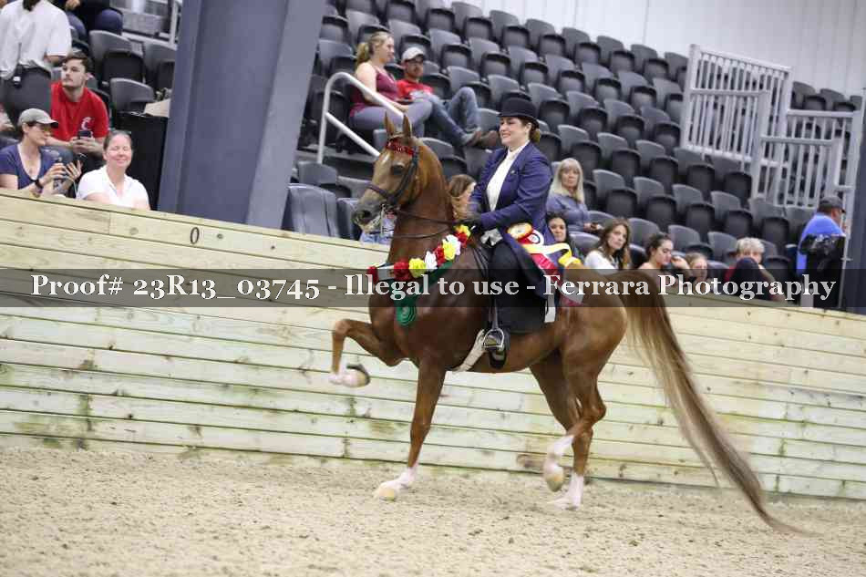 Proof 23R13_03745