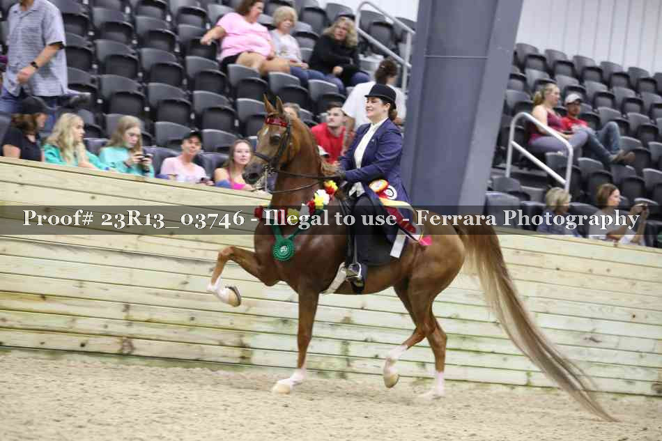 Proof 23R13_03746