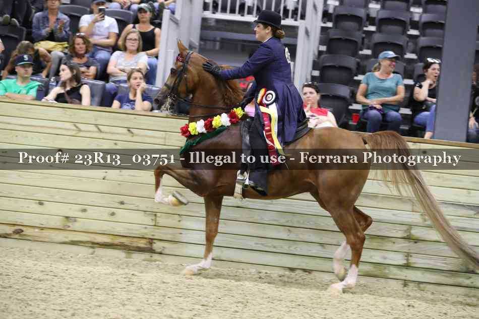 Proof 23R13_03751