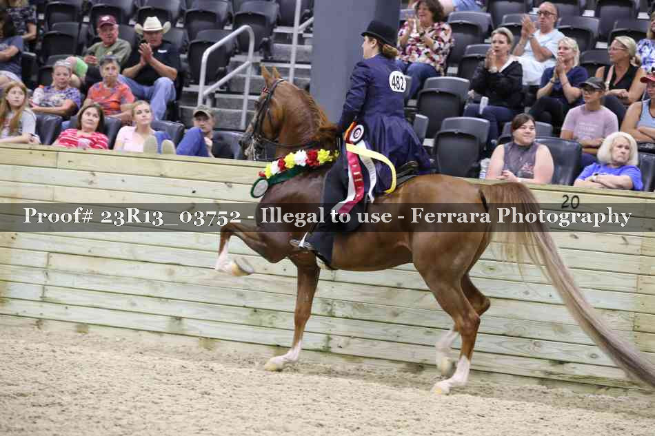 Proof 23R13_03752