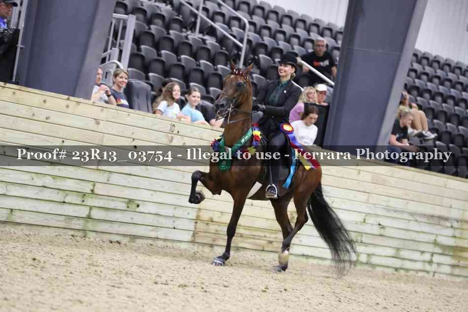 Proof 23R13_03754