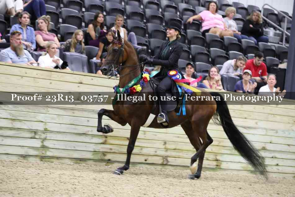 Proof 23R13_03757