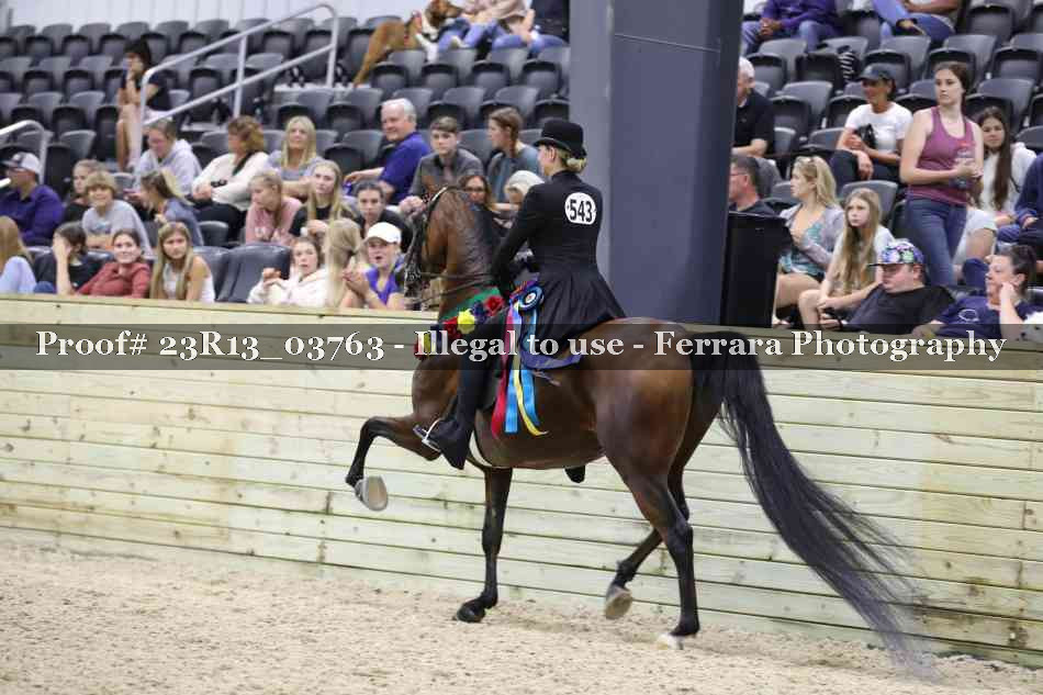 Proof 23R13_03763