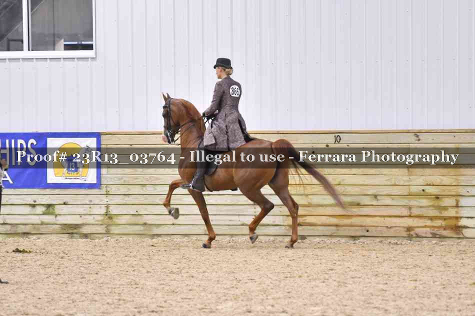 Proof 23R13_03764