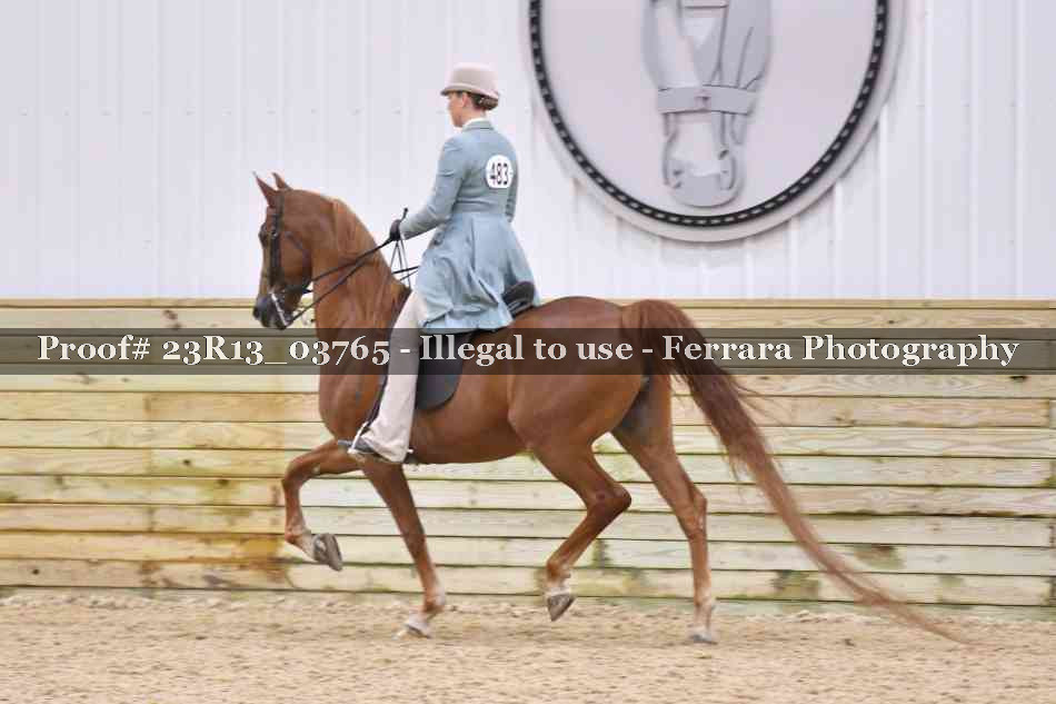 Proof 23R13_03765