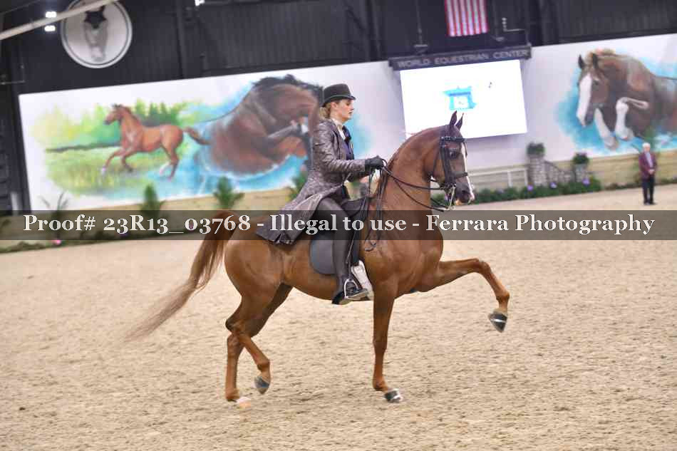 Proof 23R13_03768