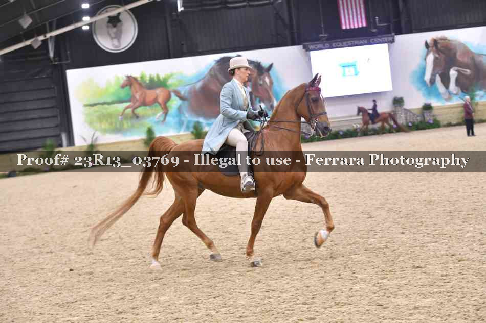 Proof 23R13_03769