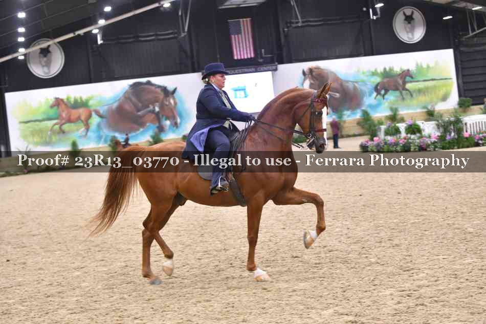 Proof 23R13_03770