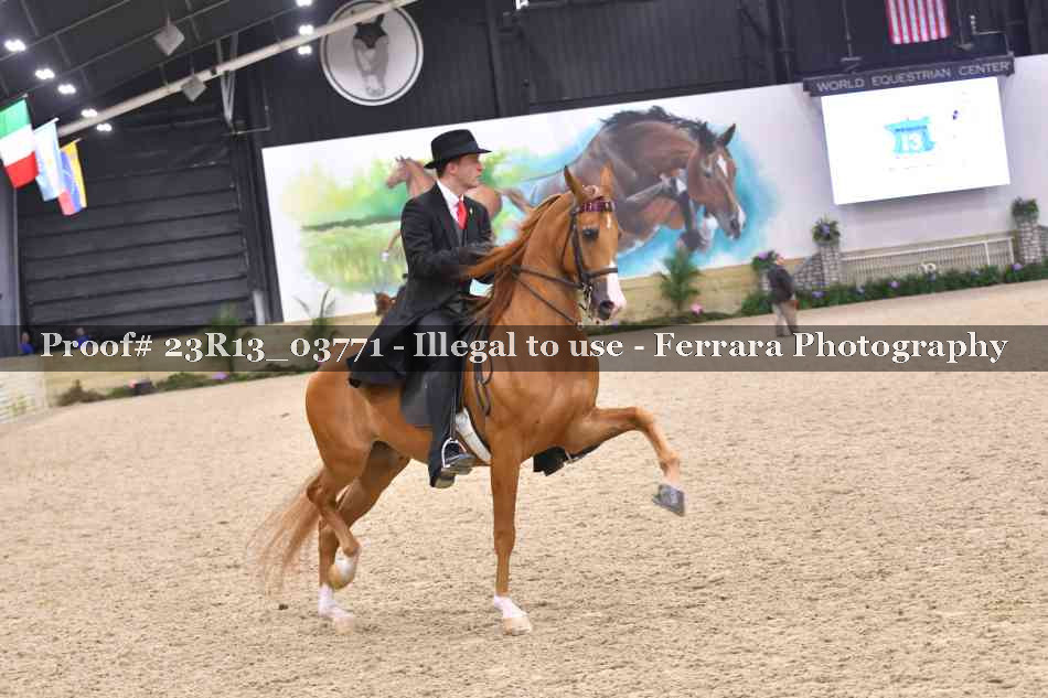 Proof 23R13_03771