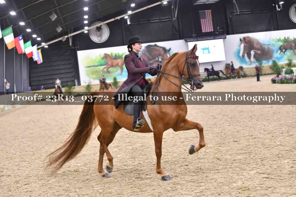 Proof 23R13_03772