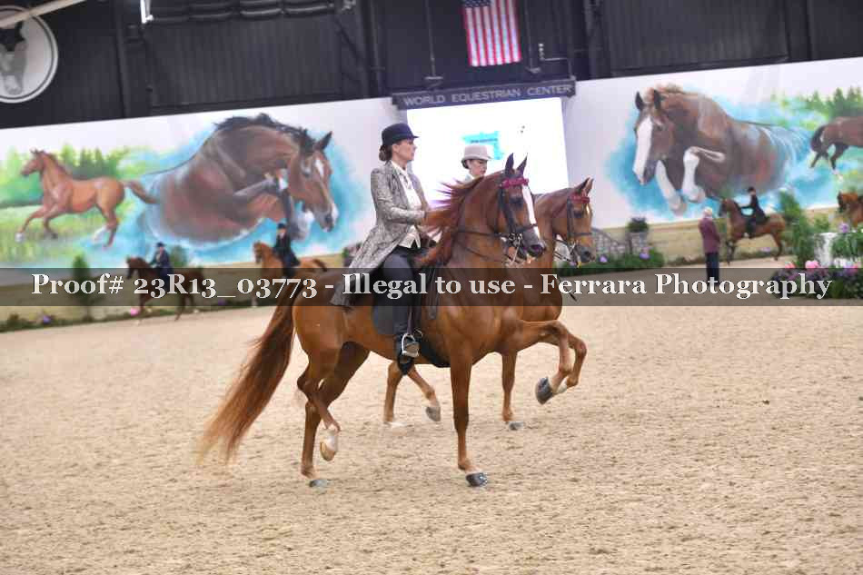 Proof 23R13_03773