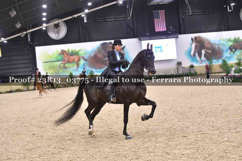 Proof 23R13_03775