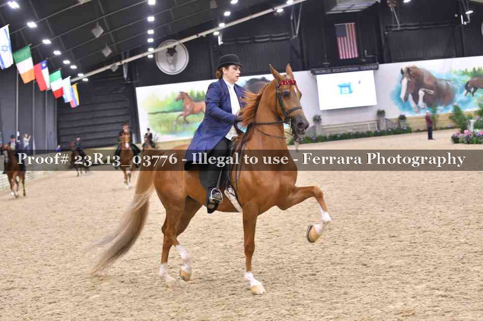 Proof 23R13_03776