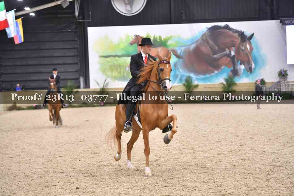 Proof 23R13_03777